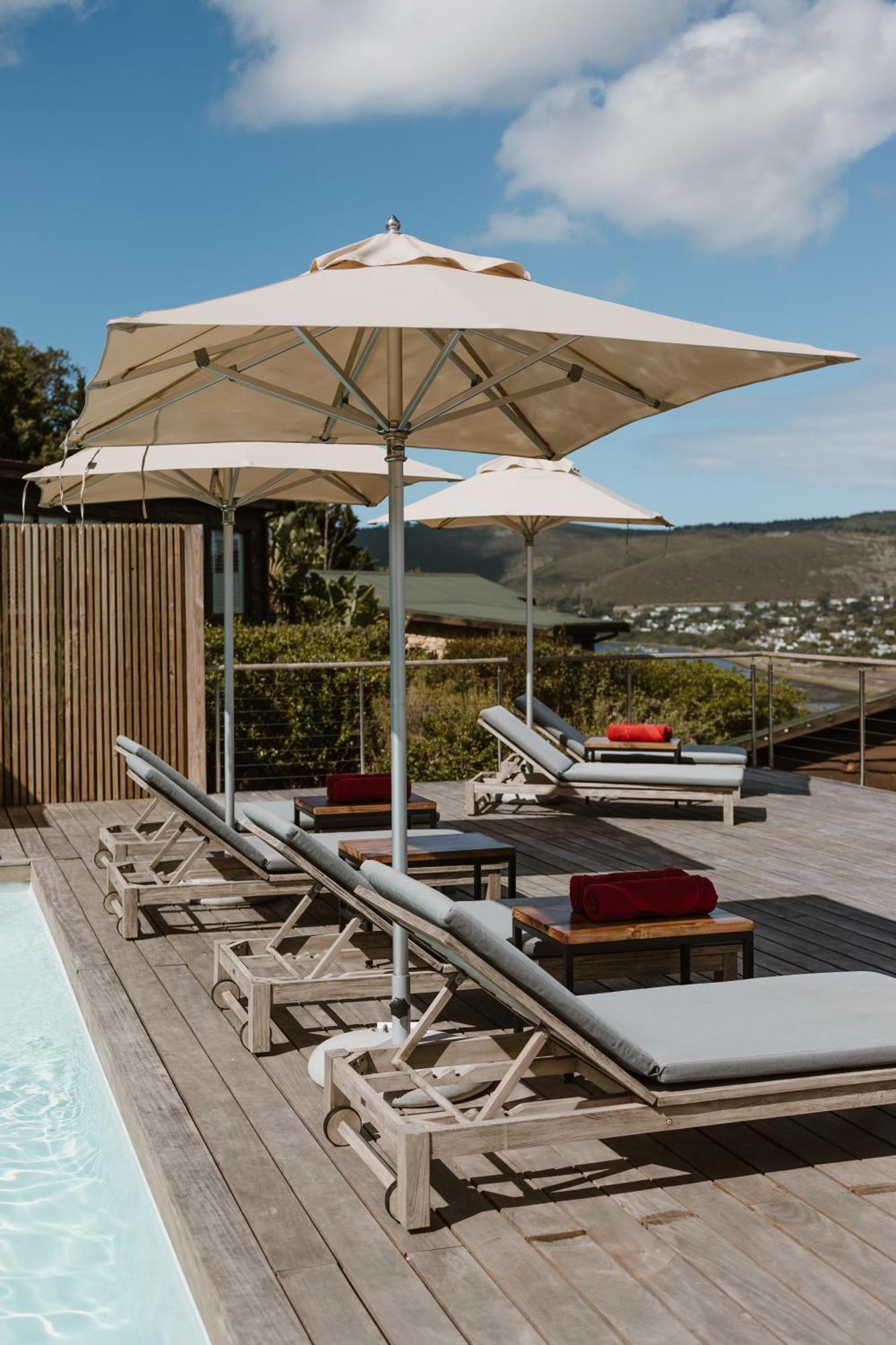Elephant Hide Of Knysna Guest Lodge Dış mekan fotoğraf