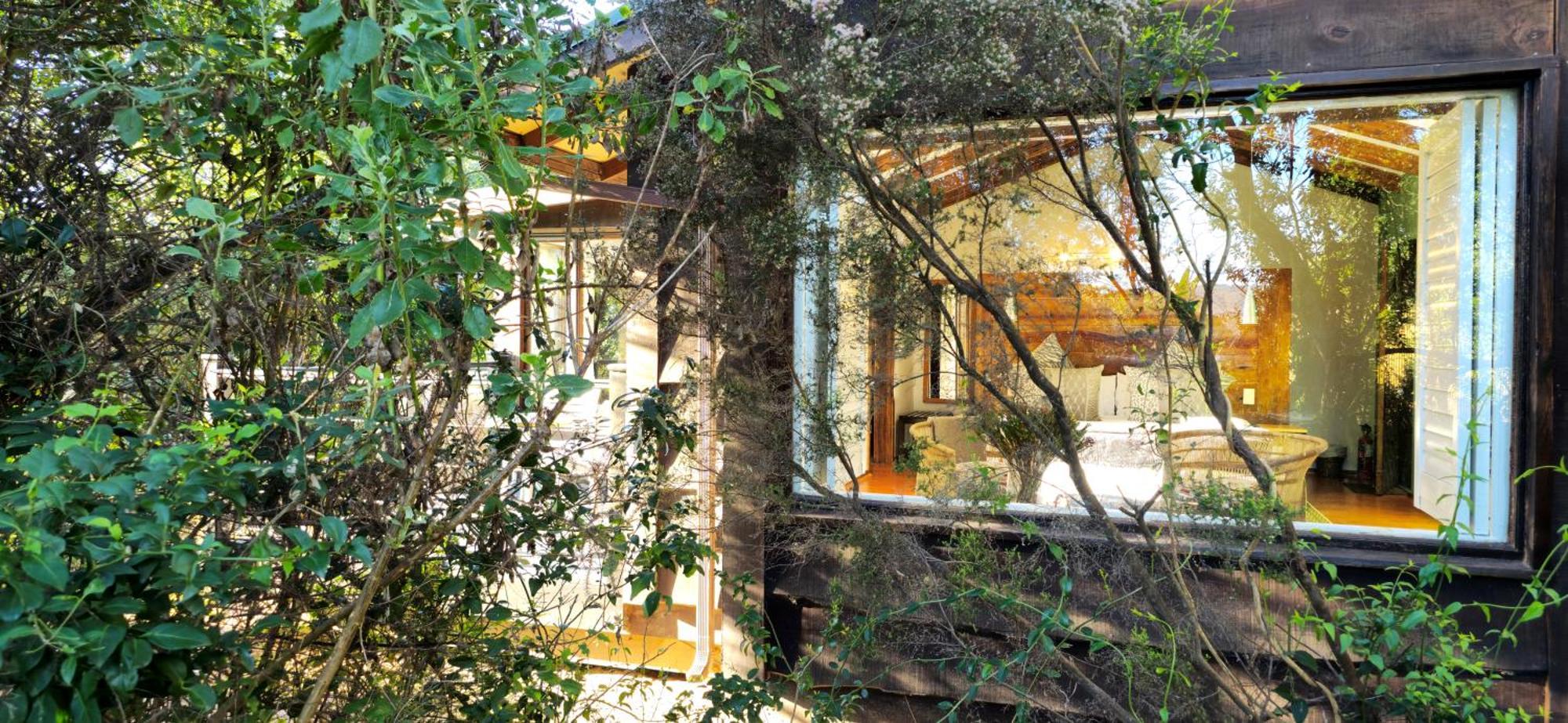 Elephant Hide Of Knysna Guest Lodge Dış mekan fotoğraf